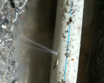 四子王旗卫生间测漏水多少钱