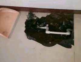 四子王旗卫生间测漏水多少钱